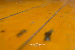 Carpes Sant Pere i Sant Joan 25