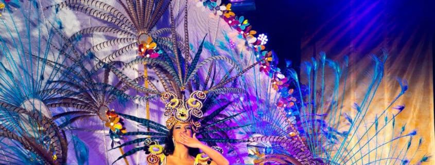 carnavalvinarospianopinao